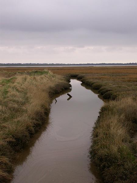 Bulcamp Marshes - DSCN3632.JPG